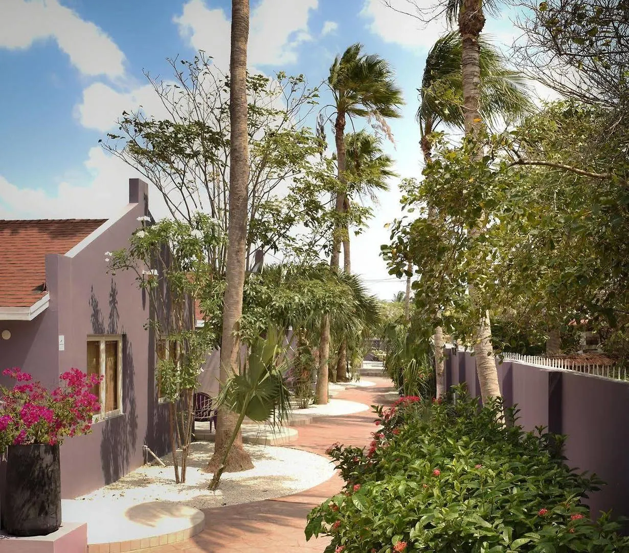 Cadushi Apartments Oranjestad