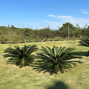 https://condominio-villas-do-campeche.santa-catarina-brasil.com